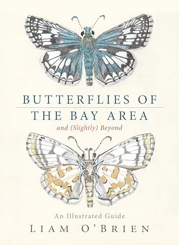 Butterflies of the Bay Area and (Slightly) Beyond (An Illustrated Guide) by Liam O'Brien, 9781597146852