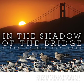 In the Shadow of the Bridge (Birds of the Bay Area) by Dick Evans, Hannah Hindley, Mary Ellen Hannibal, 9781597146913