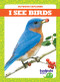 I See Birds by Tim Mayerling, 9781620319376