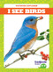 I See Birds by Tim Mayerling, Dana Flemming, 9781620319376