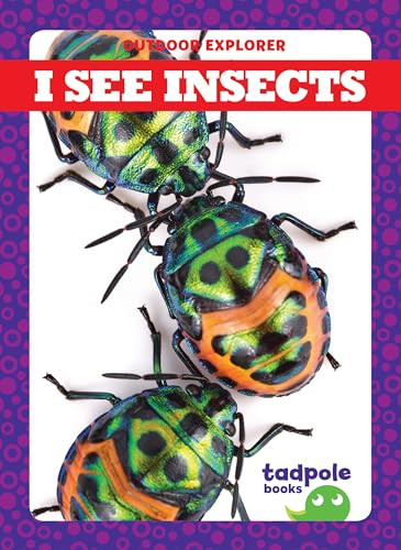 I See Insects by Tim Mayerling, Dana Flemming, 9781620319390