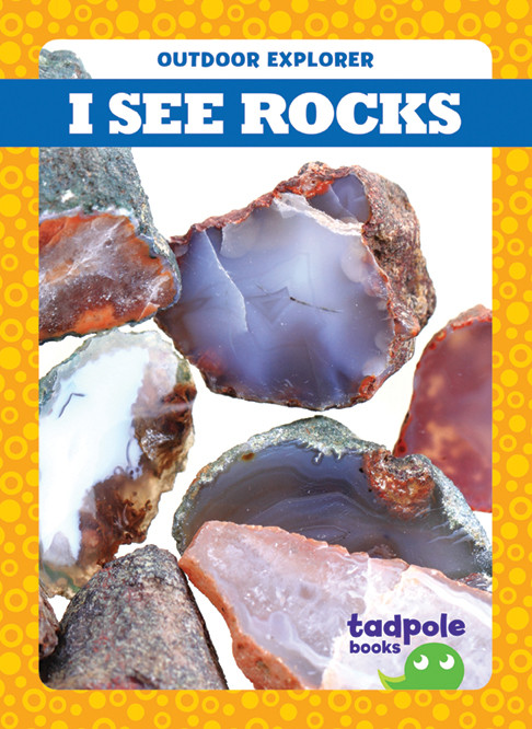 I See Rocks by Tim Mayerling, 9781620319451