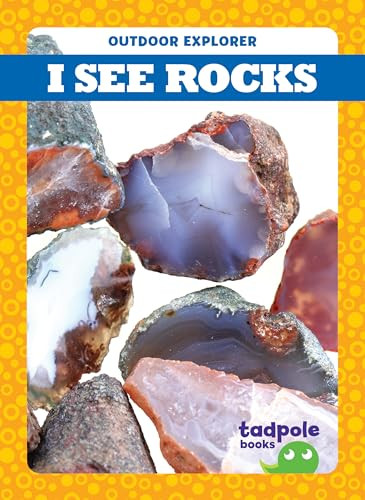 I See Rocks by Tim Mayerling, Dana Flemming, 9781620319451