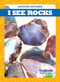 I See Rocks by Tim Mayerling, Dana Flemming, 9781620319451