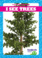 I See Trees by Tim Mayerling, Dana Flemming, 9781620319499