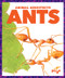 Ants - 9781620316917 by Karen Latchana Kenney, 9781620316917