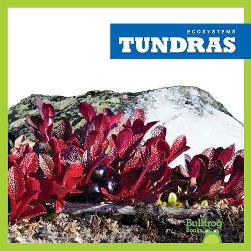 Tundras by Nadia Higgins, 9781620316825