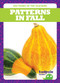 Patterns in Fall by Tim Mayerling, Dana Flemming, 9781620317563
