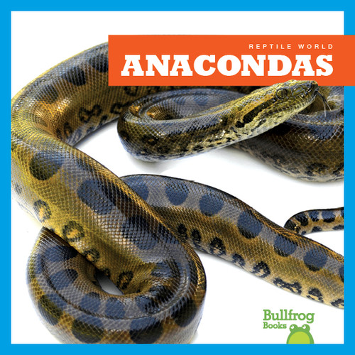 Anacondas - 9781620316627 by Imogen Kingsley, 9781620316627