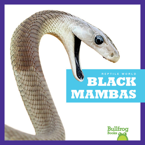 Black Mambas - 9781620316634 by Imogen Kingsley, 9781620316634
