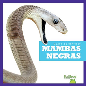 Mambas negras (Black Mambas) (Spanish Edition) by Imogen Kingsley, 9781620318102