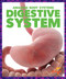 Digestive System - 9781620315583 by Karen Latchana Kenney, 9781620315583