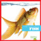 Fish - 9781620315385 by Erica Donner, 9781620315385