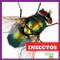 Insectos (Insects) (Spanish Edition) by Erica Donner, 9781620316382