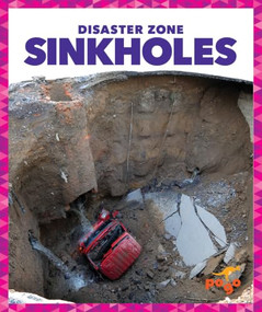 Sinkholes - 9781620315651 by Vanessa Black, Dana Flemming, 9781620315651