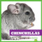 Chinchillas - 9781620315491 by Vanessa Black, Dana Flemming, 9781620315491