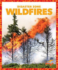 Wildfires - 9781620314005 by Vanessa Black, Dana Flemming, 9781620314005