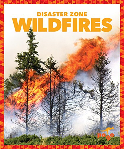 Wildfires - 9781620314005 by Vanessa Black, Dana Flemming, 9781620314005