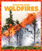 Wildfires - 9781620314005 by Vanessa Black, Dana Flemming, 9781620314005