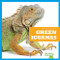 Green Iguanas - 9781620313831 by Vanessa Black, Dana Flemming, 9781620313831