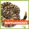 Rattlesnakes - 9781620313848 by Vanessa Black, Dana Flemming, 9781620313848