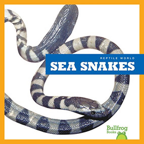 Sea Snakes - 9781620313855 by Vanessa Black, Dana Flemming, 9781620313855