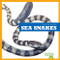 Sea Snakes - 9781620313855 by Vanessa Black, Dana Flemming, 9781620313855