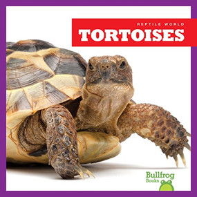 Tortoises - 9781620313862 by Vanessa Black, Dana Flemming, 9781620313862