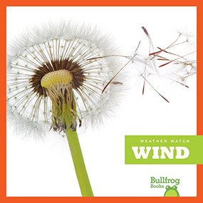 Wind - 9781620313923 by Jenny Fretland VanVoorst, 9781620313923