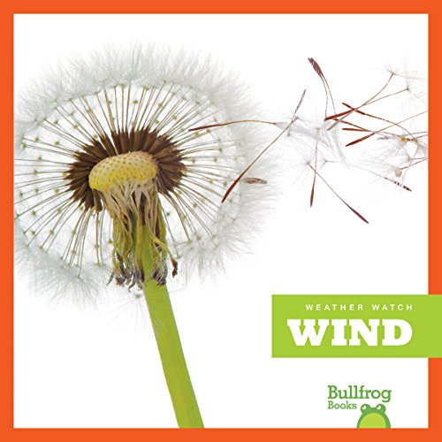 Wind - 9781620313923 by Jenny Fretland VanVoorst, 9781620313923