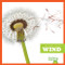 Wind - 9781620313923 by Jenny Fretland VanVoorst, 9781620313923