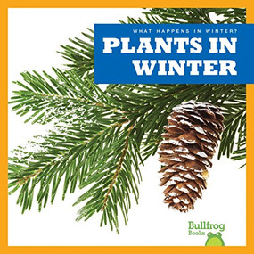 Plants in Winter by Jenny Fretland VanVoorst, 9781620313954