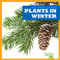 Plants in Winter by Jenny Fretland VanVoorst, 9781620313954