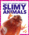 Slimy Animals by Nadia Higgins, 9781620313060