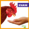 Farm - 9781620312957 by Rebecca Pettiford, 9781620312957