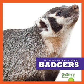 Badgers - 9781620312865 by Mari Schuh, Dana Flemming, 9781620312865