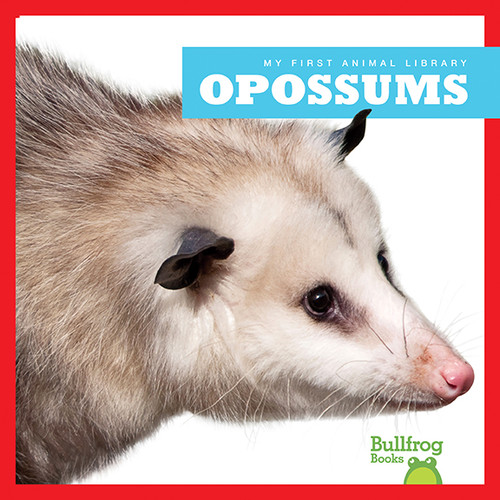 Opossums - 9781620312896 by Mari Schuh, 9781620312896