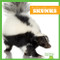 Skunks by Mari Schuh, Dana Flemming, 9781620312919