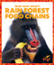 Rain Forest Food Chains - 9781620313046 by Rebecca Pettiford, 9781620313046