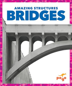 Bridges - 9781620312117 by Rebecca Pettiford, Dana Flemming, 9781620312117