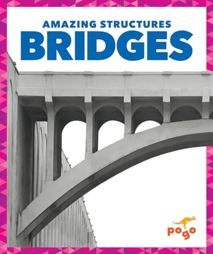 Bridges - 9781620312117 by Rebecca Pettiford, Dana Flemming, 9781620312117