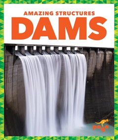 Dams - 9781620312131 by Rebecca Pettiford, Dana Flemming, 9781620312131