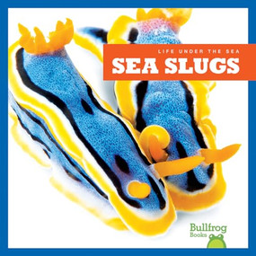 Sea Slugs - 9781620311929 by Mari Schuh, Dana Flemming, 9781620311929