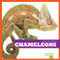 Chameleons - 9781620311943 by Cari Meister, Dana Flemming, 9781620311943