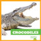 Crocodiles - 9781620311950 by Cari Meister, Dana Flemming, 9781620311950