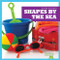 Shapes by the Sea by Jenny Fretland VanVoorst, Dana Flemming, 9781620312025