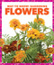 Flowers - 9781620312315 by Rebecca Pettiford, 9781620312315