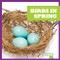 Birds in Spring - 9781620312353 by Jenny Fretland VanVoorst, Dana Flemming, 9781620312353