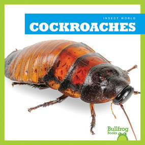 Cockroaches - 9781620311615 by Mari Schuh, 9781620311615