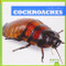 Cockroaches - 9781620311615 by Mari Schuh, 9781620311615